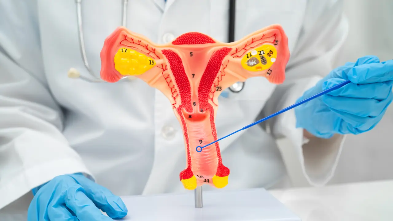 All-in-One Care for Your Intimate Health