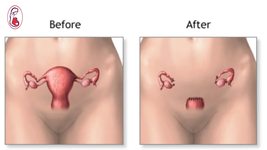 What Exactly Changes Inside Your Body